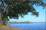 Cherai Lake @ cheraihotels.com