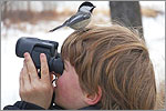 Bird watching - cherai @ www.cheraihotels.com