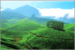 munnar @ www.cheraihotels.com